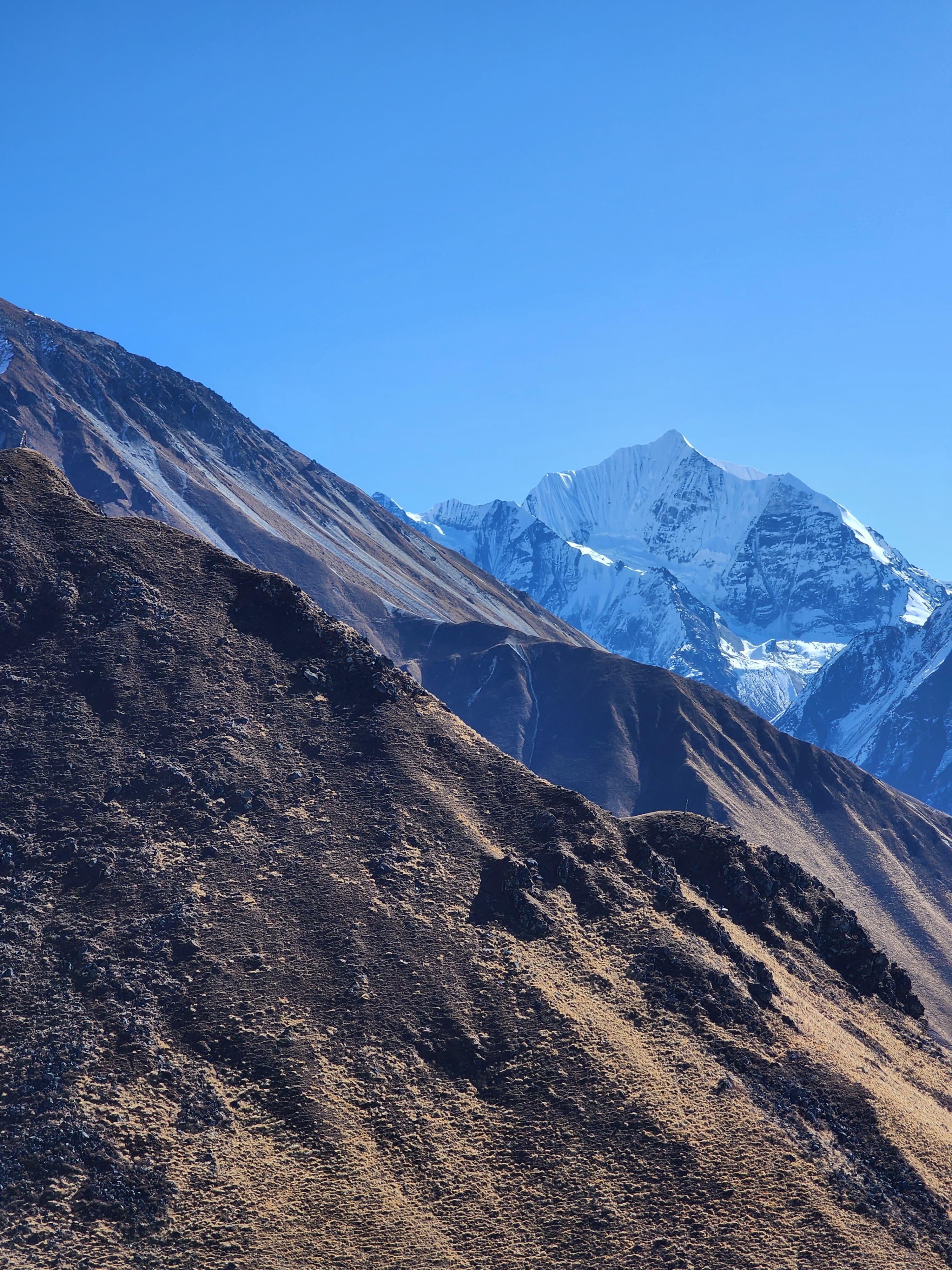 Langtang Valley Trek gallery 6