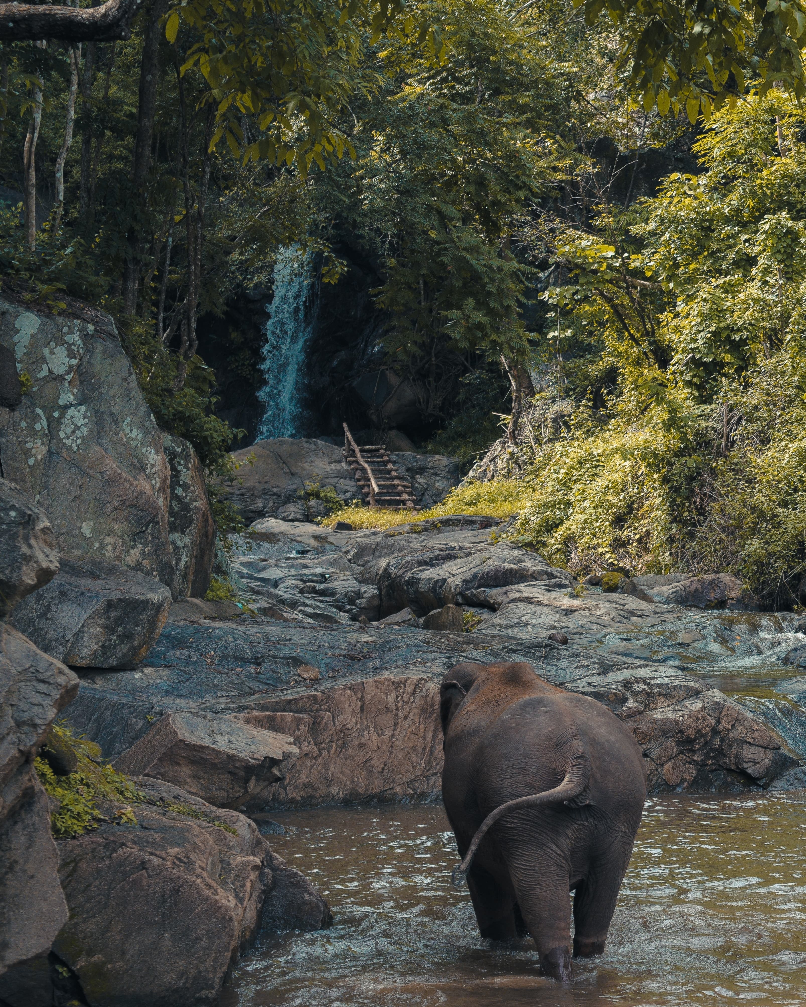 Classic Nepal Tour gallery 1