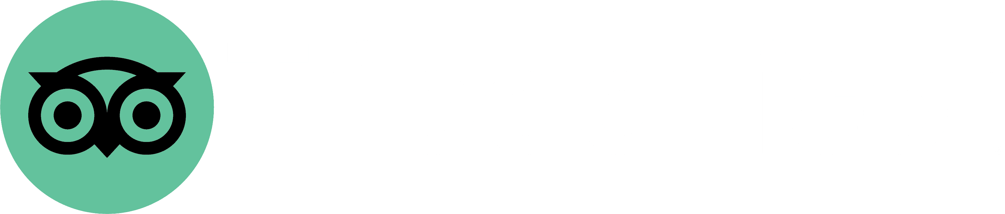 TripAdvisor Logo