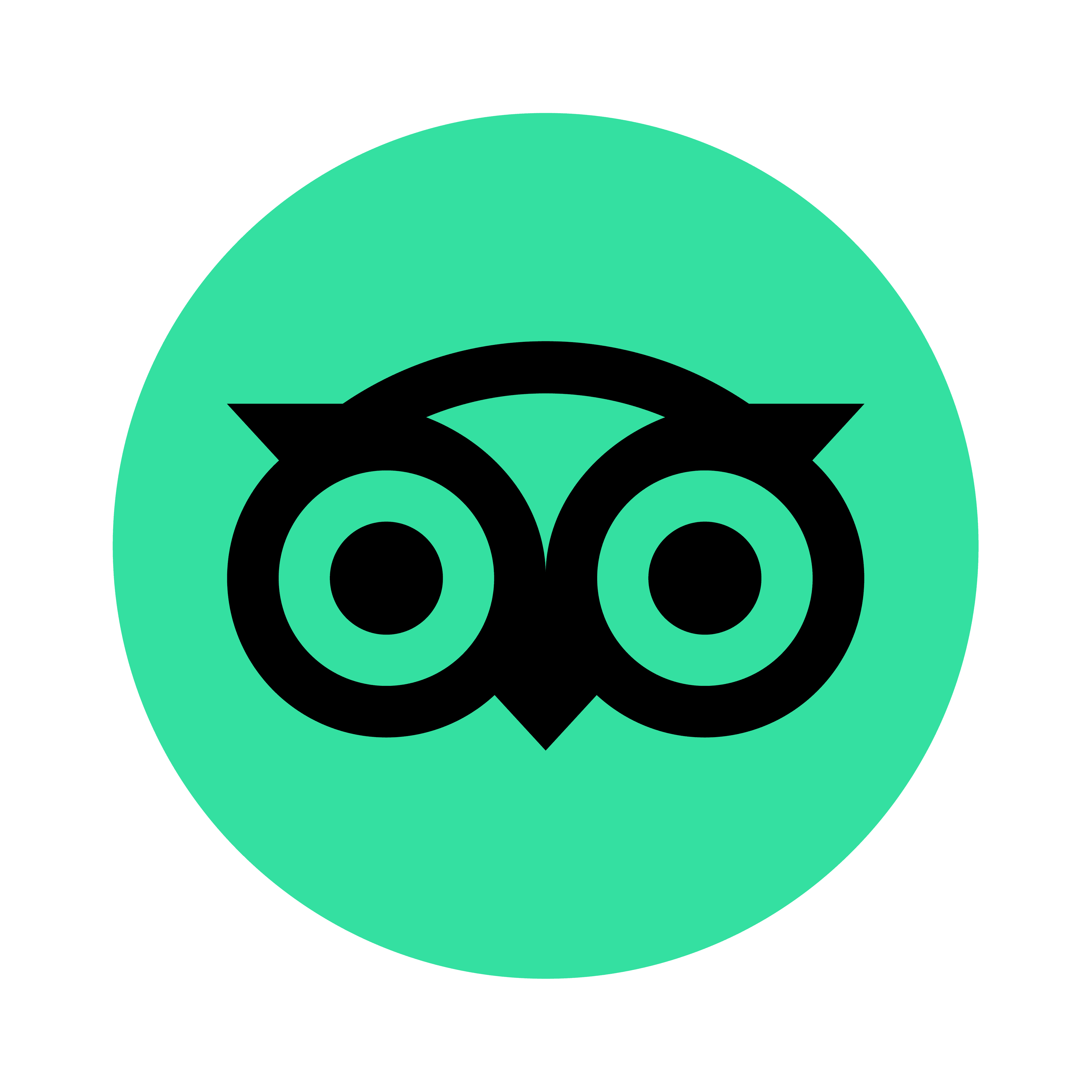 TripAdvisor