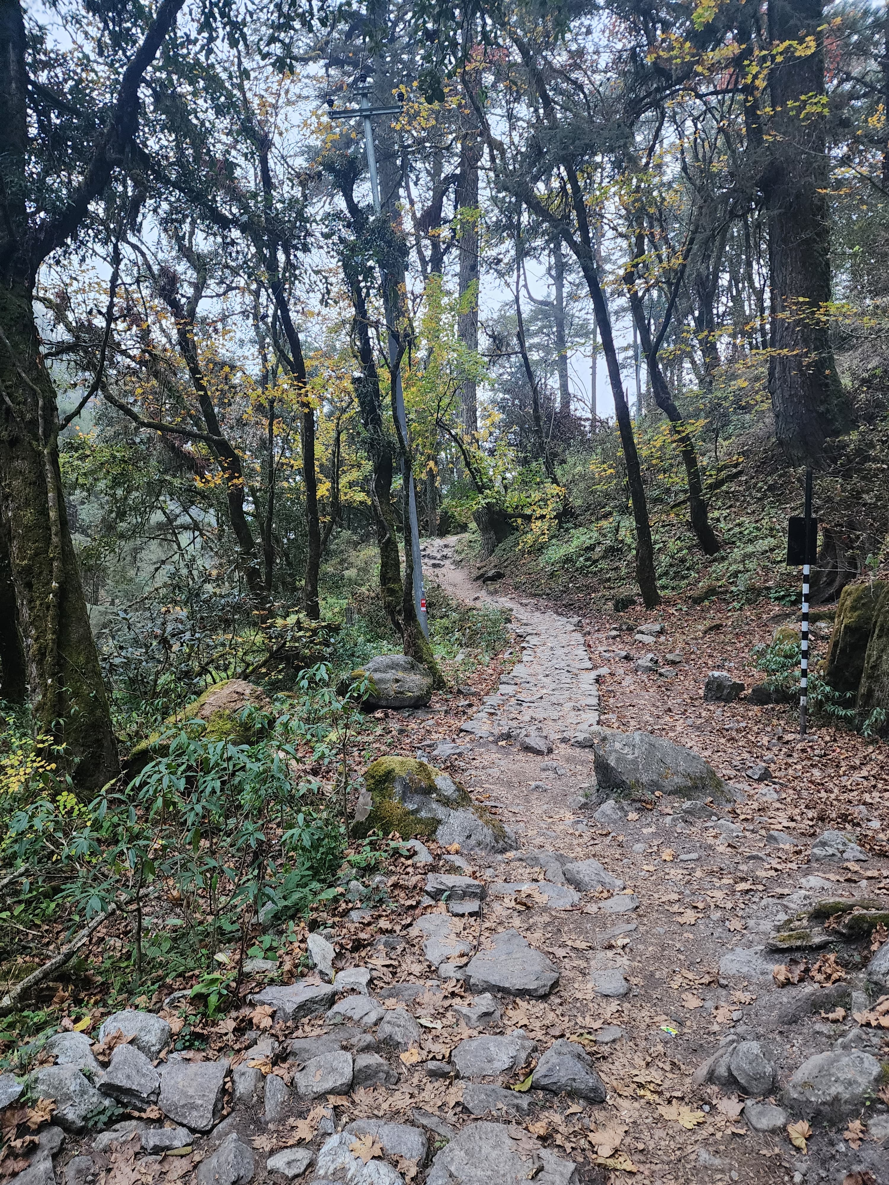 Langtang Valley Trek gallery 3