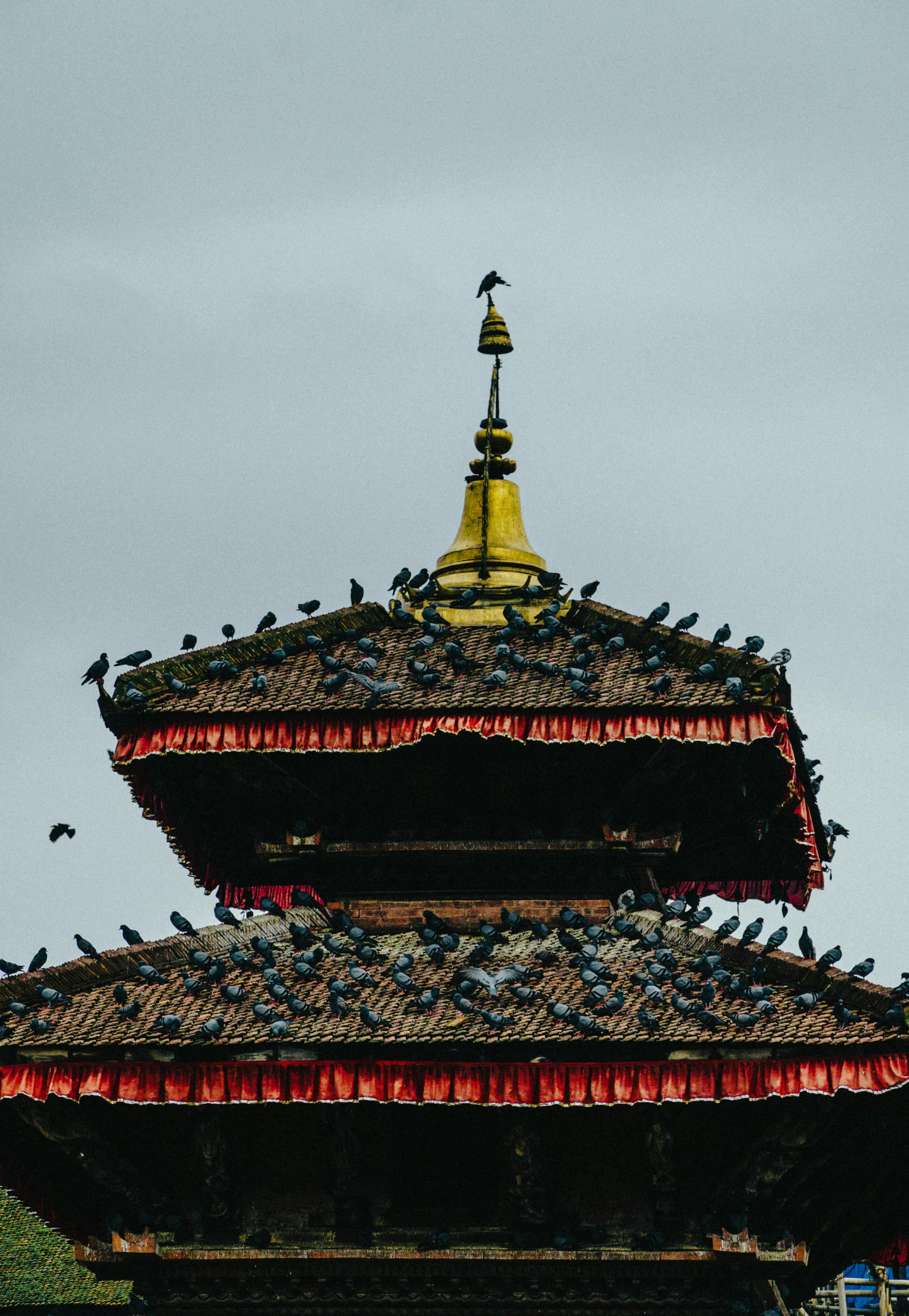 Flavors & Footprints: Kathmandu Food Tour gallery 3