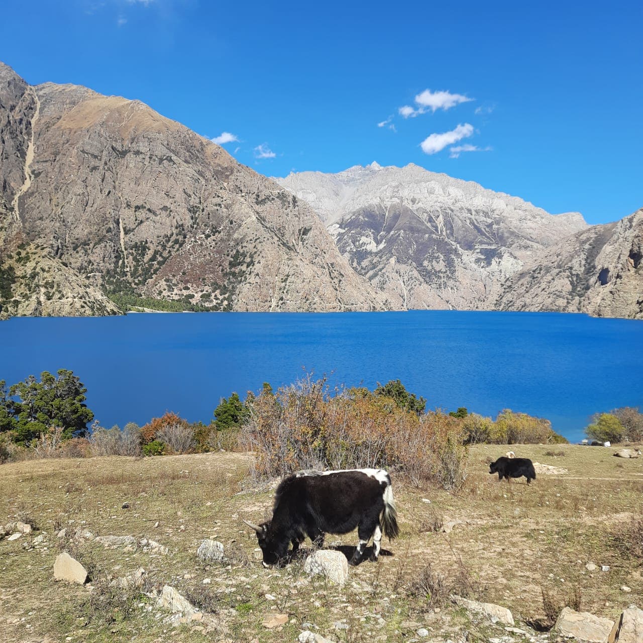 Shey Phoksundo Trek