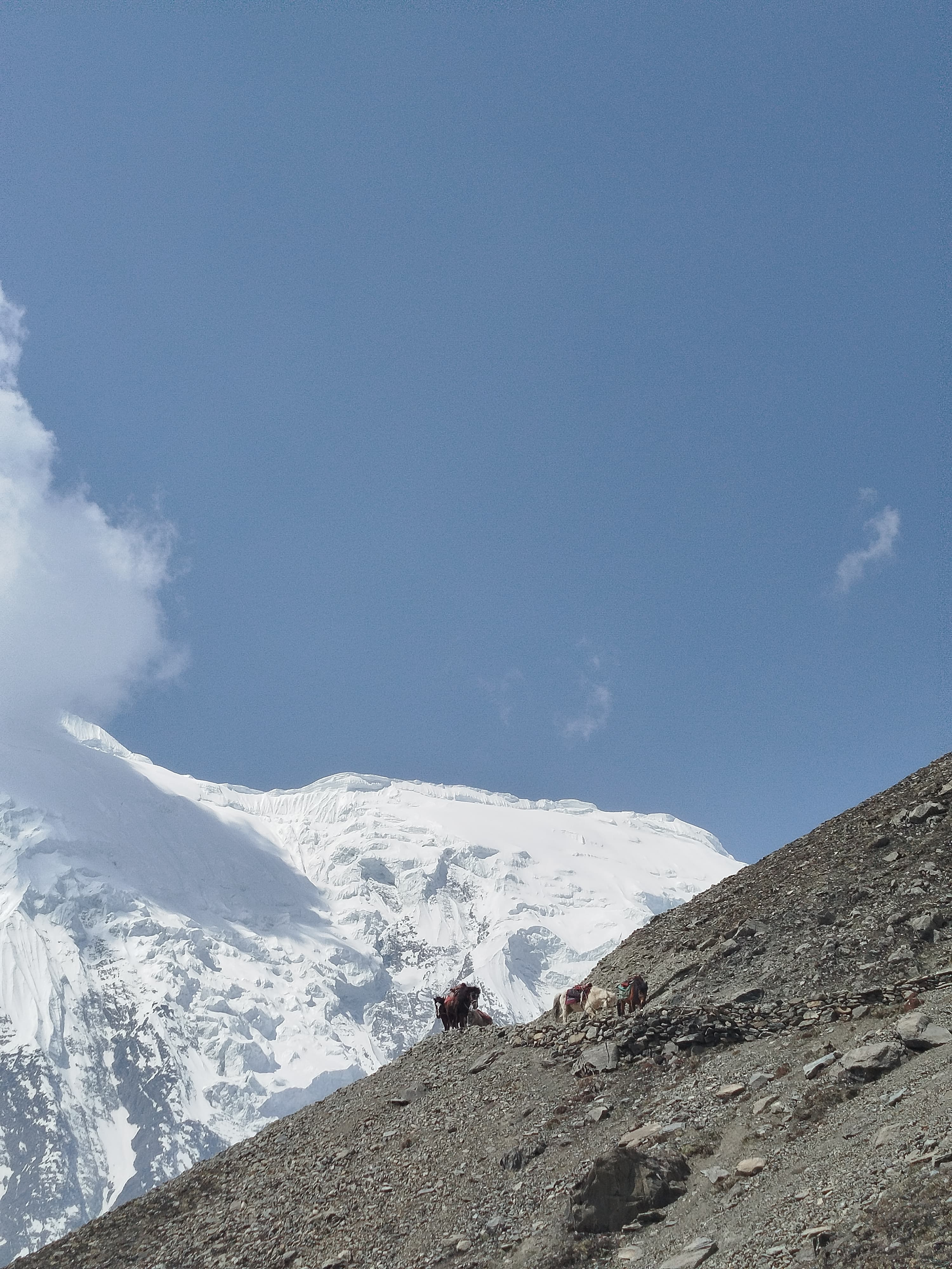 Tilicho Lake Trek gallery 2
